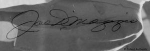 Mickey Mantle and Joe Dimaggio Autographed - COA #MJ56443